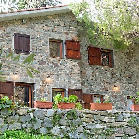 Due Pini Apartment Corniglia Bagian luar foto
