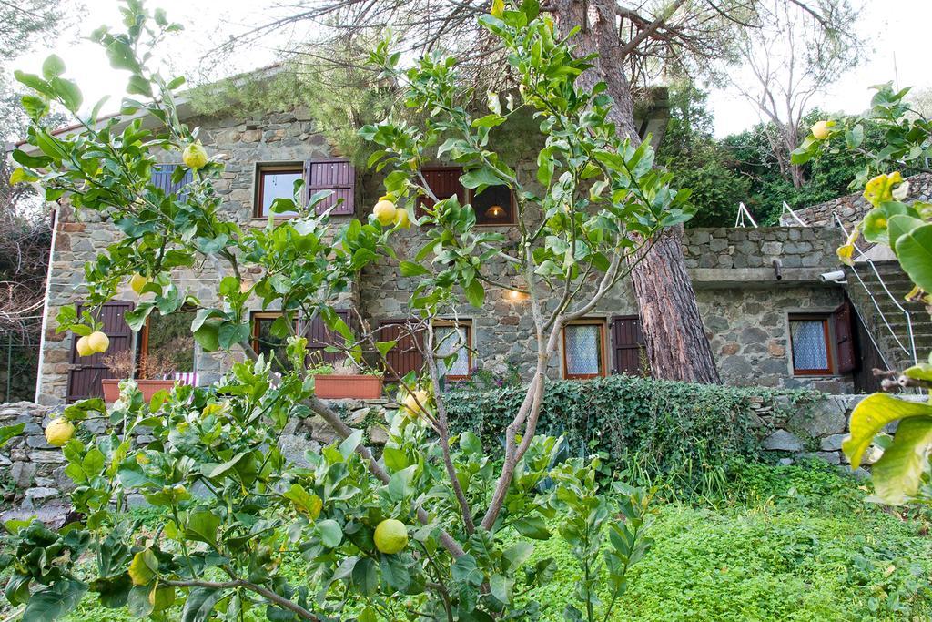 Due Pini Apartment Corniglia Bagian luar foto