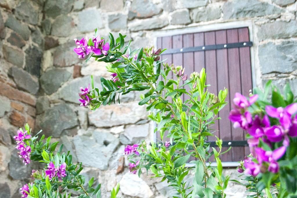 Due Pini Apartment Corniglia Bagian luar foto