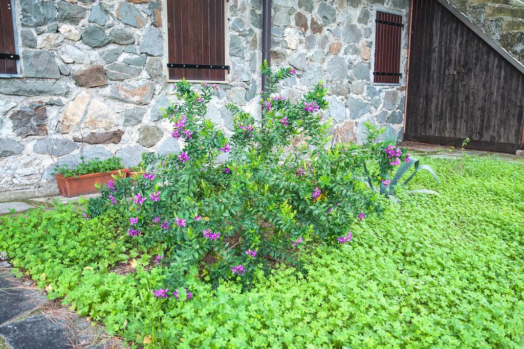 Due Pini Apartment Corniglia Bagian luar foto