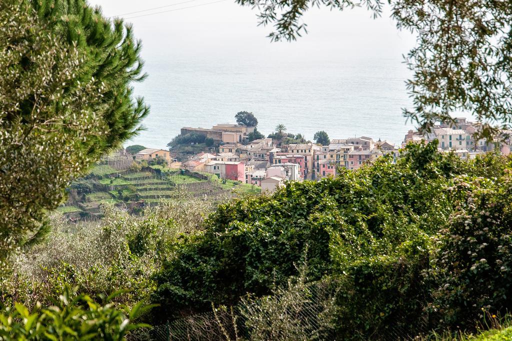 Due Pini Apartment Corniglia Bagian luar foto